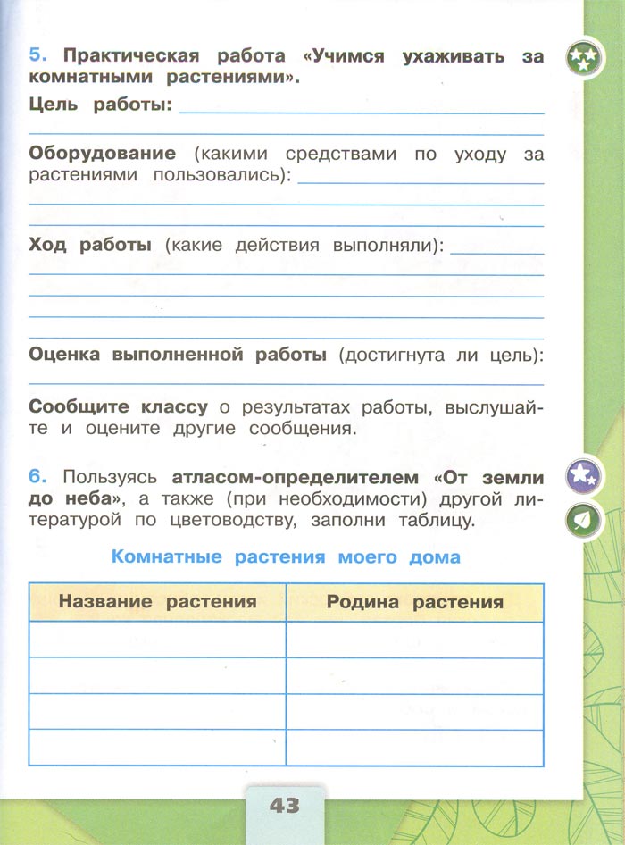 2 класс рабочая тетрадь. Окружающий мир. Плешаков. Страница 43. 1 часть, 2024 год