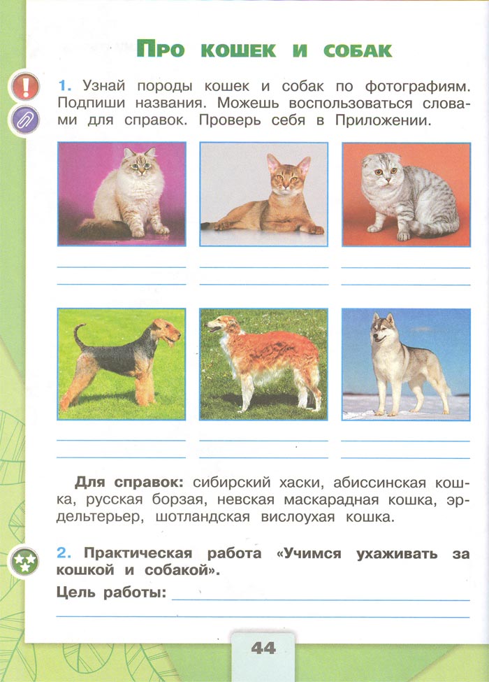2 класс рабочая тетрадь. Окружающий мир. Плешаков. Страница 44. 1 часть, 2024 год