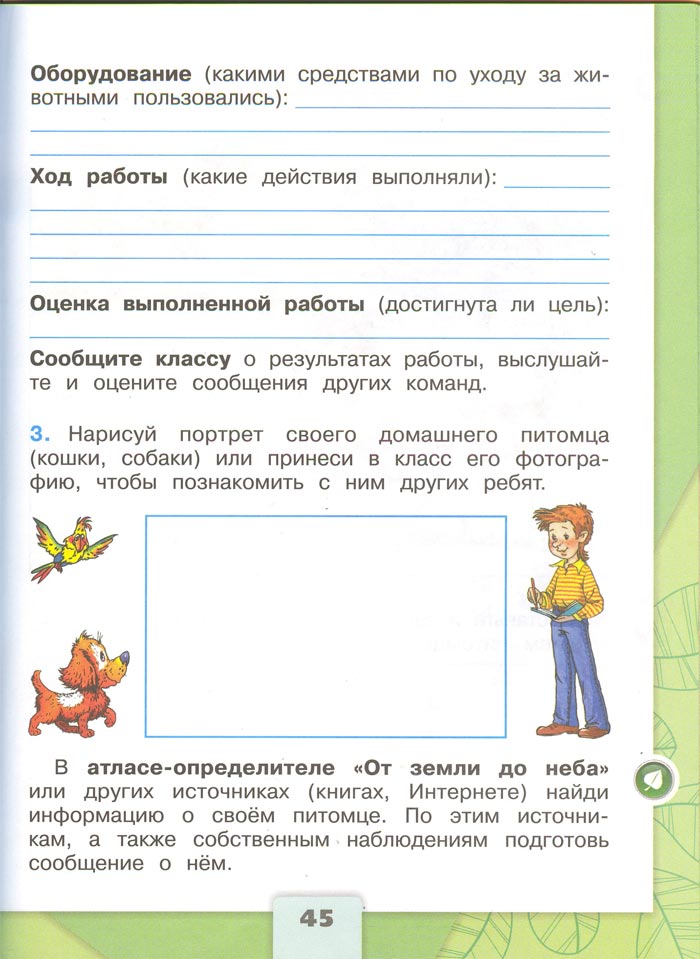 2 класс рабочая тетрадь. Окружающий мир. Плешаков. Страница 45. 1 часть, 2024 год