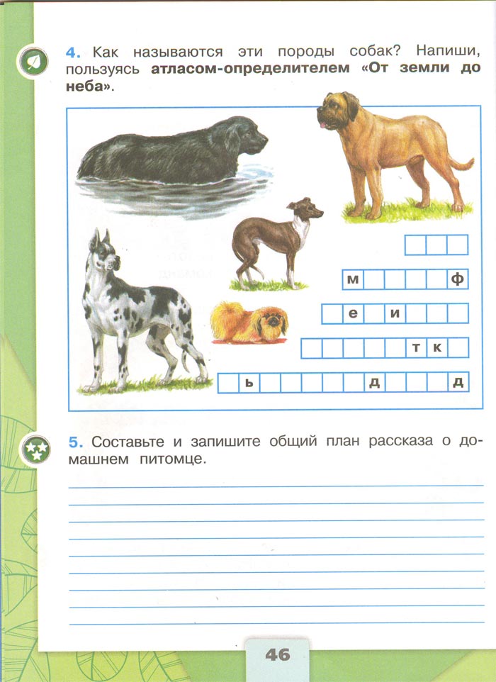 2 класс рабочая тетрадь. Окружающий мир. Плешаков. Страница 46. 1 часть, 2024 год