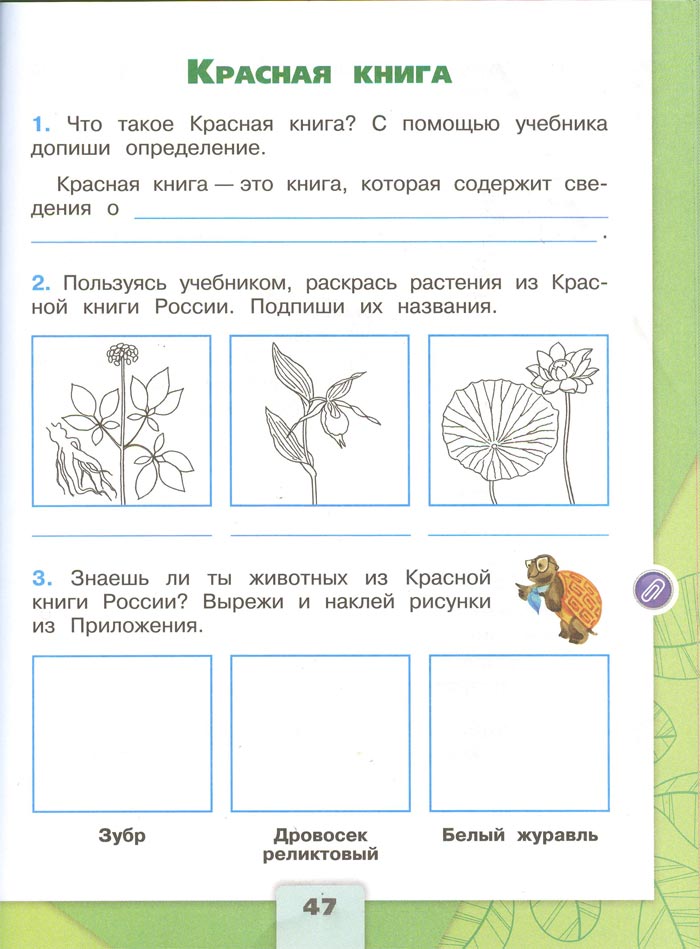2 класс рабочая тетрадь. Окружающий мир. Плешаков. Страница 47. 1 часть, 2024 год