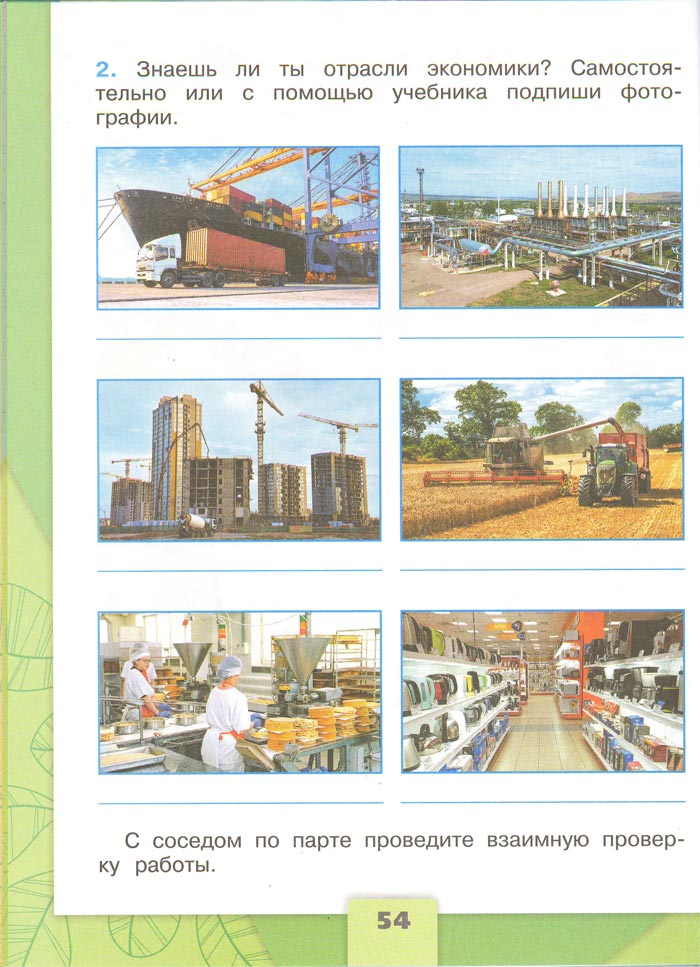 2 класс рабочая тетрадь. Окружающий мир. Плешаков. Страница 54. 1 часть, 2024 год
