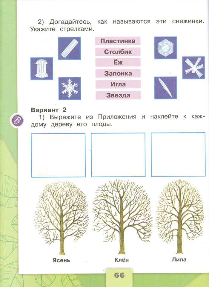 2 класс рабочая тетрадь. Окружающий мир. Плешаков. Страница 66. 1 часть, 2024 год