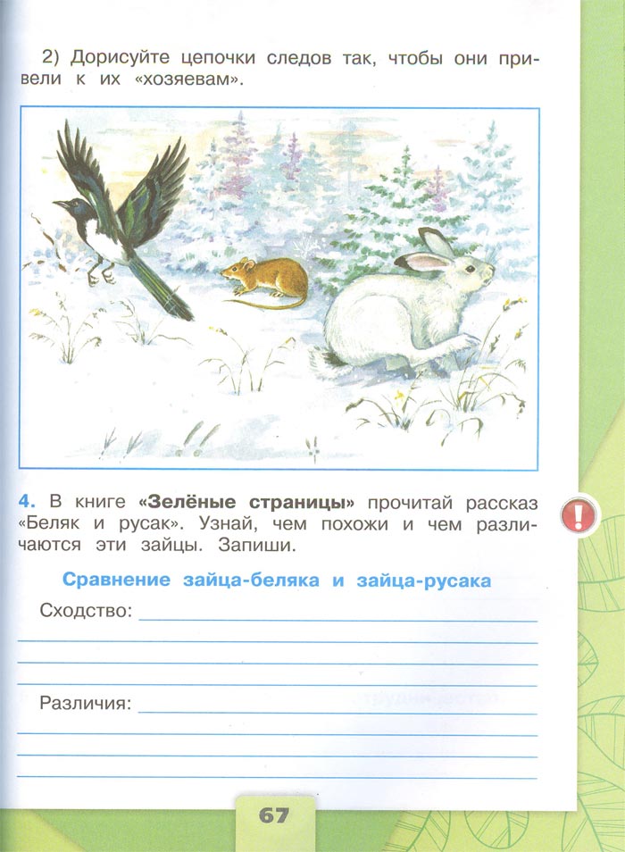 2 класс рабочая тетрадь. Окружающий мир. Плешаков. Страница 67. 1 часть, 2024 год