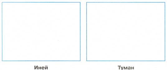 2 класс рабочая тетрадь. Окружающий мир. Плешаков. Страница 22. 1 часть, 2024 год