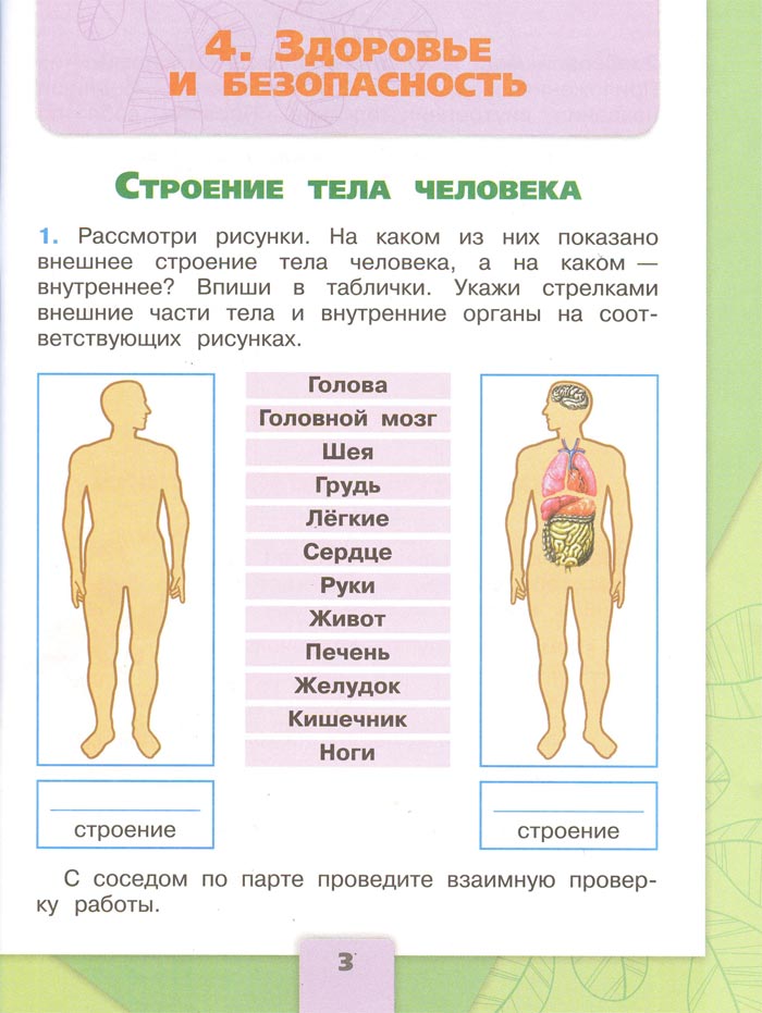 2 класс рабочая тетрадь. Окружающий мир. Плешаков. Страница 3. 2 часть, 2024 год