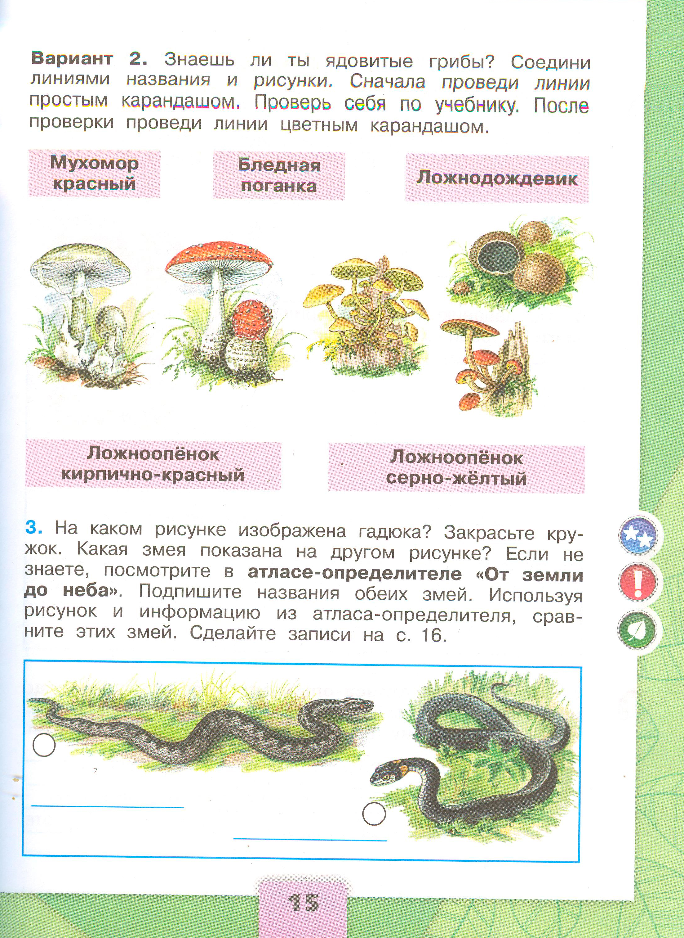 Рабочая тетрадь Плешаков 2 часть. Окружающий мир 3 класс, страница 15, 2024 год. ГДЗ по окружающему миру 3 класс рабочая тетрадь Плешаков, страница 15