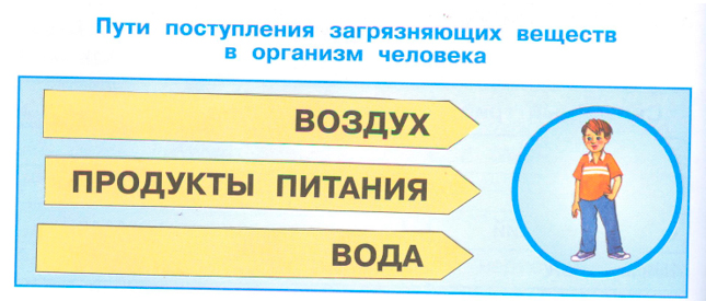 ГДЗ по окружающему миру 3 класс рабочая тетрадь Плешаков, страница 17, номер 1