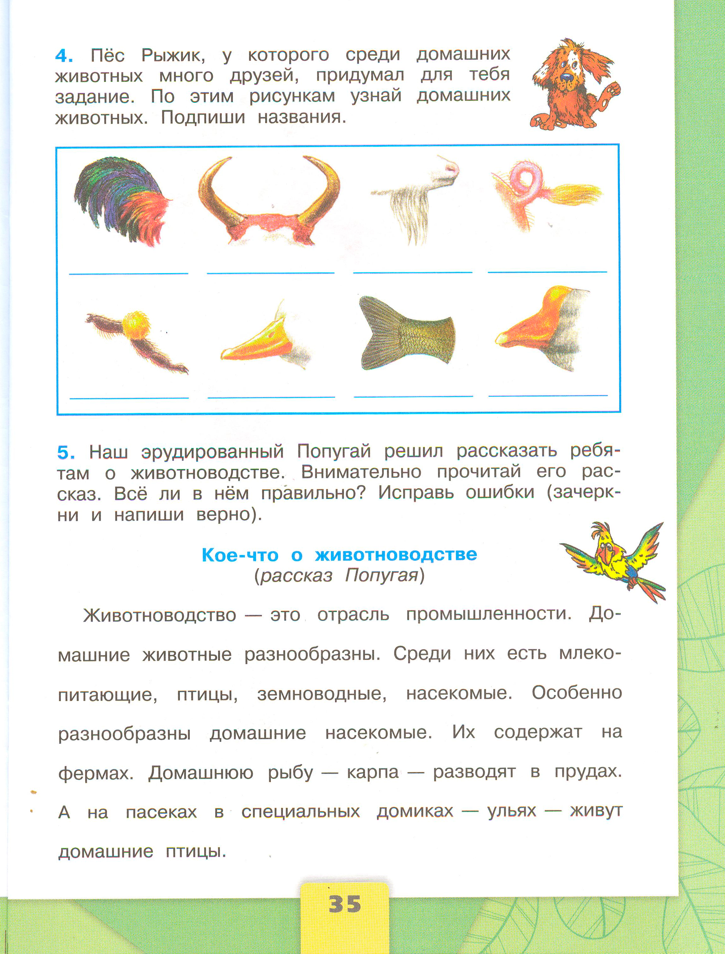 Рабочая тетрадь Плешаков 2 часть. Окружающий мир 3 класс, страница 35, 2024 год. ГДЗ по окружающему миру 3 класс рабочая тетрадь Плешаков, страница 35