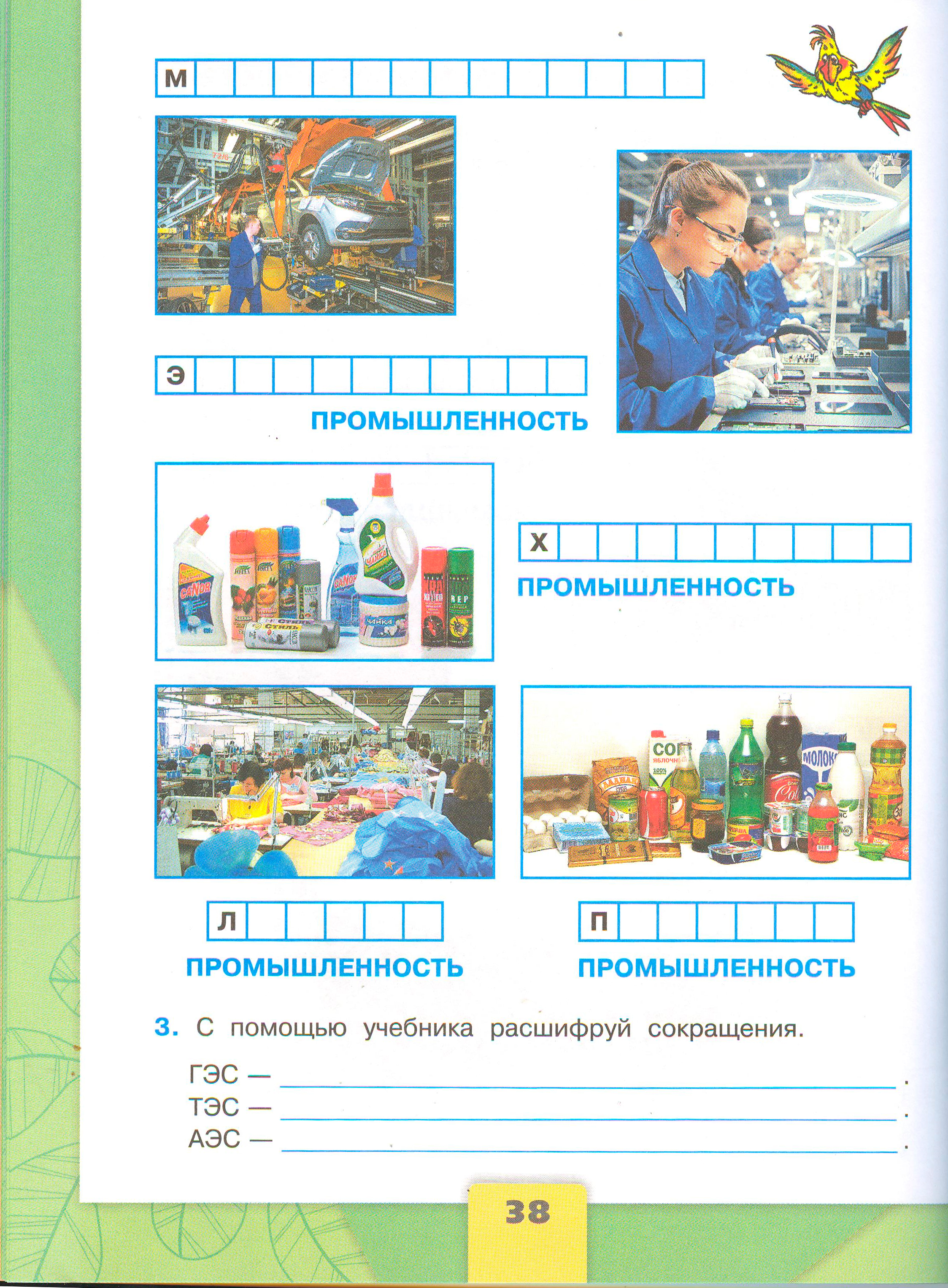 Рабочая тетрадь Плешаков 2 часть. Окружающий мир 3 класс, страница 38, 2024 год. ГДЗ по окружающему миру 3 класс рабочая тетрадь Плешаков, страница 38