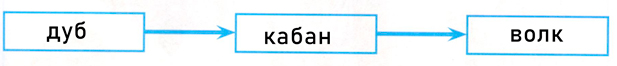 ГДЗ по окружающему миру 3 класс рабочая тетрадь Плешаков, страница 45, номер 3