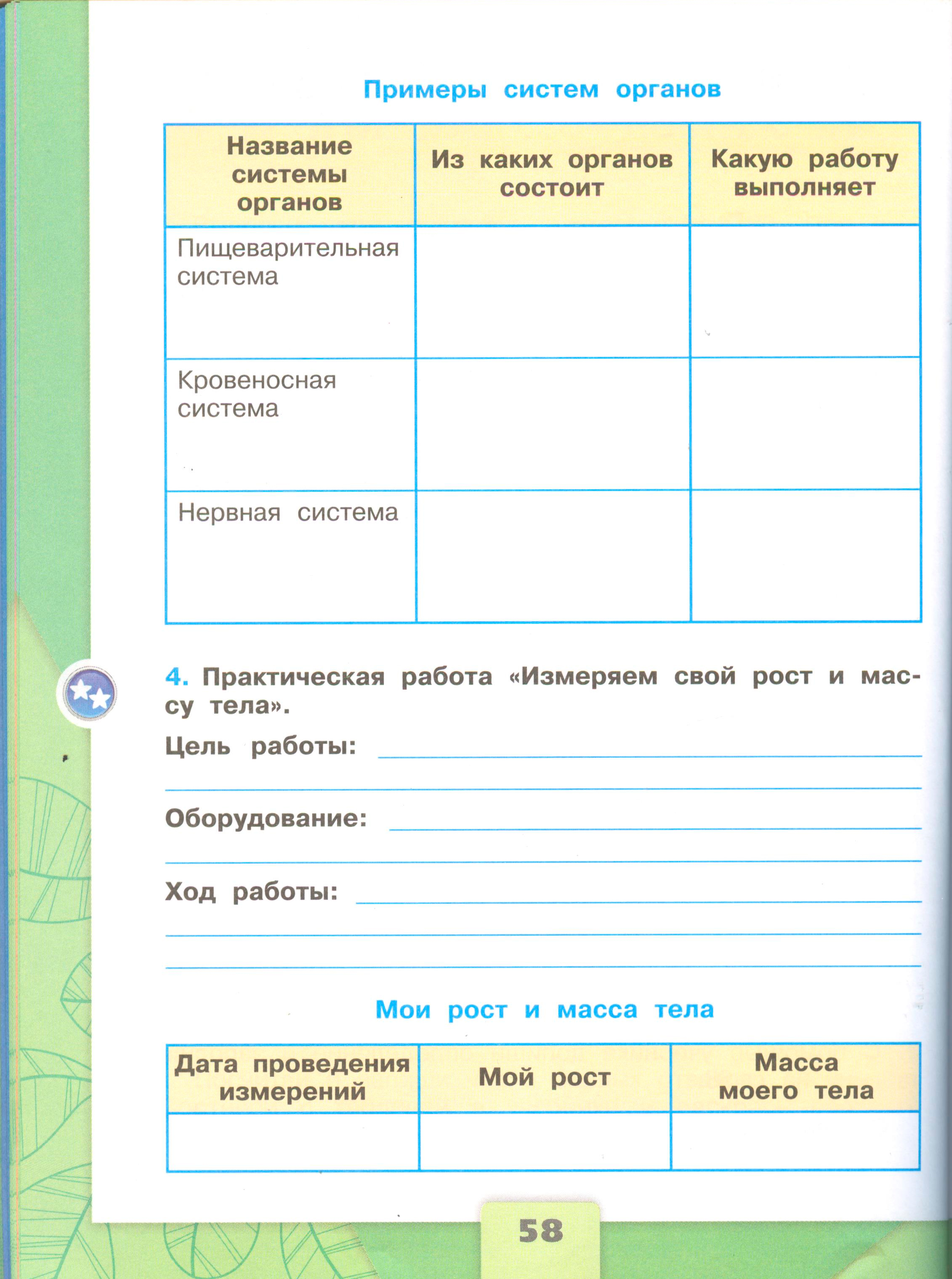 Рабочая тетрадь Плешаков 1 часть. Окружающий мир 3 класс, страница 58, 2024 год. ГДЗ по окружающему миру 3 класс рабочая тетрадь Плешаков, страница 58
