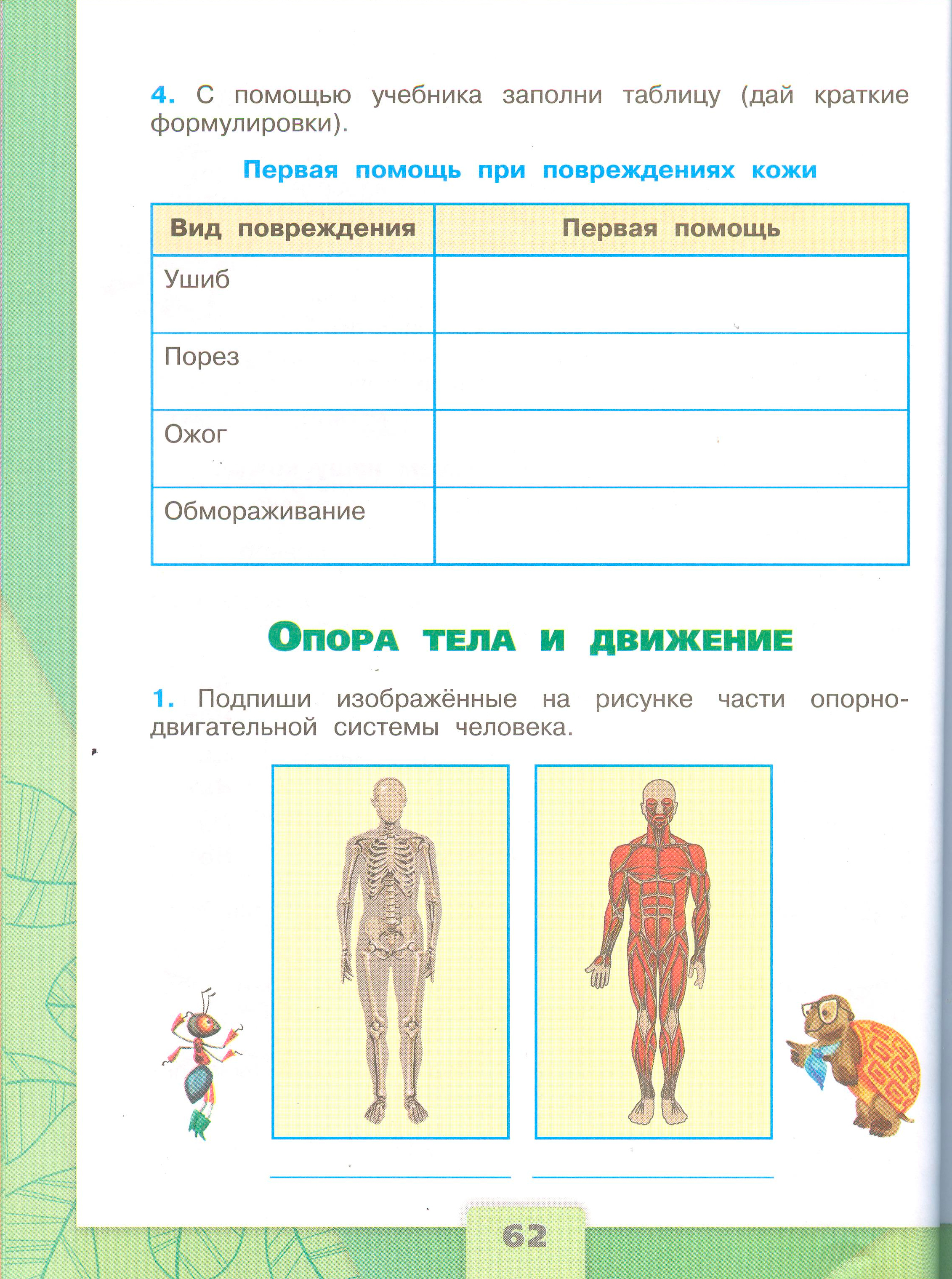Рабочая тетрадь Плешаков 1 часть. Окружающий мир 3 класс, страница 62, 2024 год. ГДЗ по окружающему миру 3 класс рабочая тетрадь Плешаков, страница 62