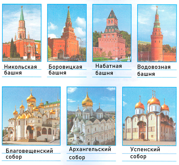 Рабочая тетрадь Плешаков 2 часть. Окружающий мир 3 класс, страница 63, 2024 год, номер 6. ГДЗ по окружающему миру 3 класс рабочая тетрадь Плешаков, страница 63, номер 6