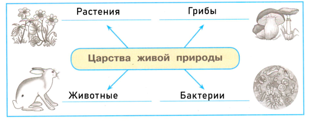 ГДЗ по окружающему миру 3 класс рабочая тетрадь Плешаков, страница 3, номер 2