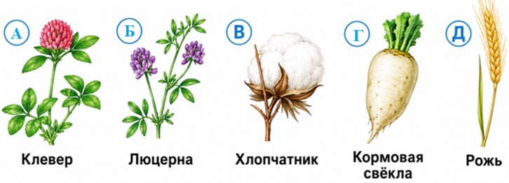 Окружающий мир 3 класс. Тесты. Плешаков, Гара, Назарова. Страница 59. Номер 198. 2025 год.