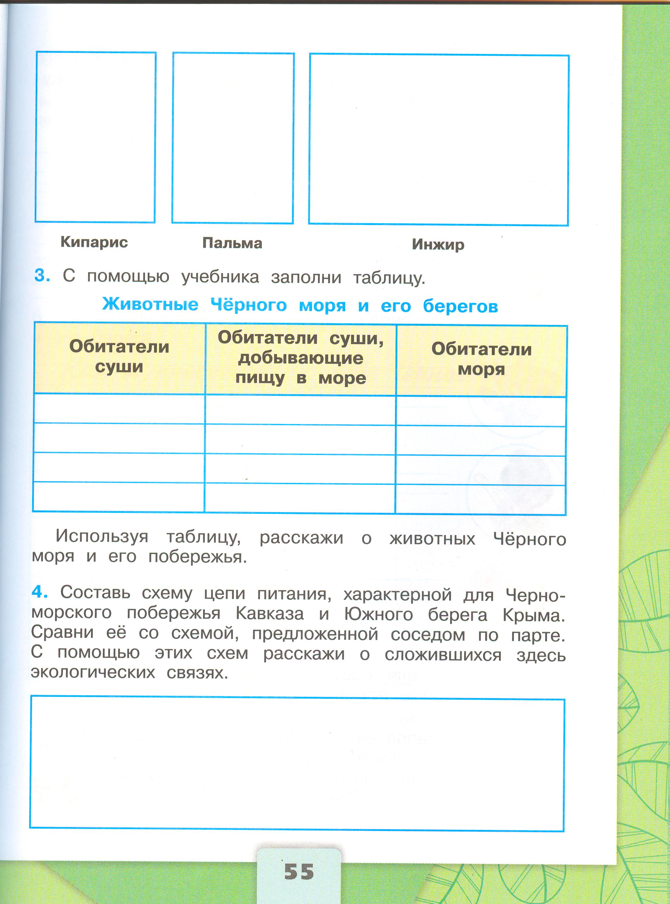 Рабочая тетрадь Плешаков 1 часть. Окружающий мир 4 класс. Страница 55.