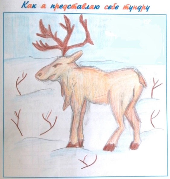 Рабочая тетрадь Плешаков 1 часть. Окружающий мир 4 класс. Страница 39. Задание 7