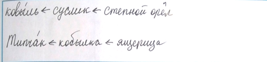 Рабочая тетрадь Плешаков 1 часть. Окружающий мир 4 класс. Страница 49. Задание 5