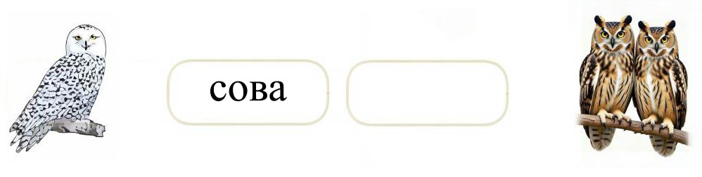 Русский язык 1 класс Канакина, Горецкий страница 64, номер 4