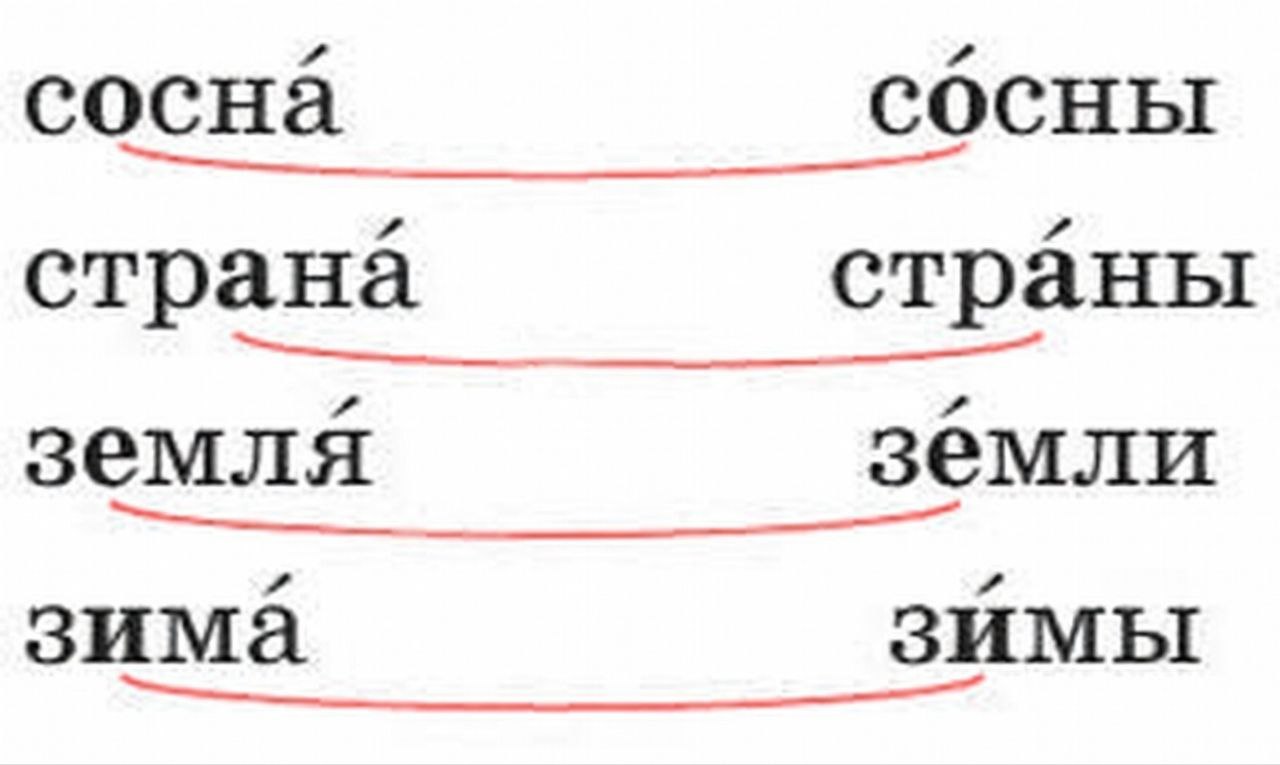 Русский язык 1 класс Канакина, Горецкий страница 65, номер 5