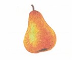 Картинка из учебника по математике 2 класс Климанова - Часть 1, станица 12, номер 15, год 2023. Картинка из учебника по математике 2 класс Климанова - Часть 1, станица 12, номер 15, год 2023.