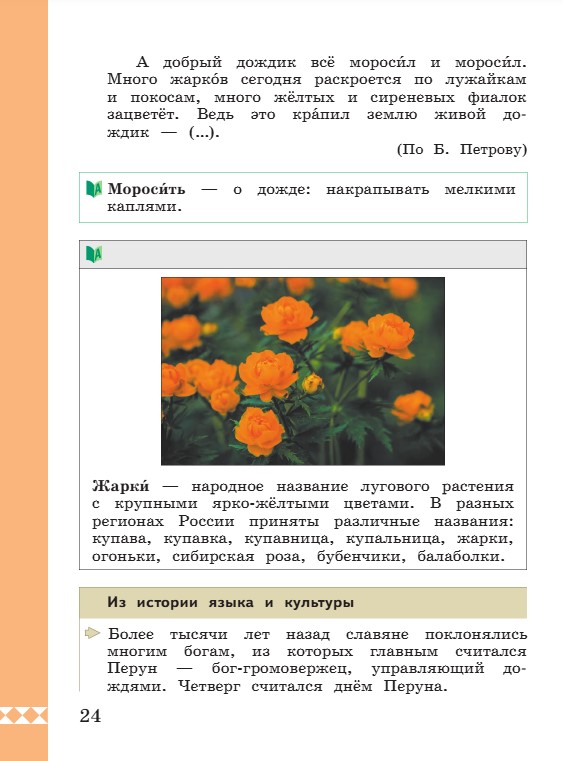 Учебник по русскому языку 3 класс. Александрова, Вербицкая. Страница 24. 2023 год. Учебник по русскому языку 3 класс. Александрова, страница 24, 2023 год.
