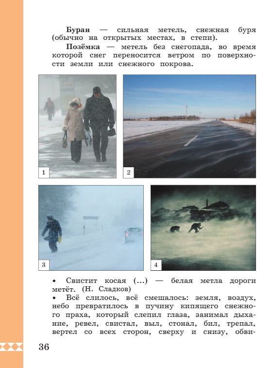 Учебник по русскому языку 3 класс. Александрова, Вербицкая. Страница 36. 2023 год. Учебник по русскому языку 3 класс. Александрова, страница 36, 2023 год.