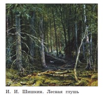 Учебник по русскому языку 3 класс. Александрова, Вербицкая. Страница 41. Номер 1. 2023 год. Учебник по русскому языку 3 класс. Александрова, страница 41, номер 1, 2023 год.