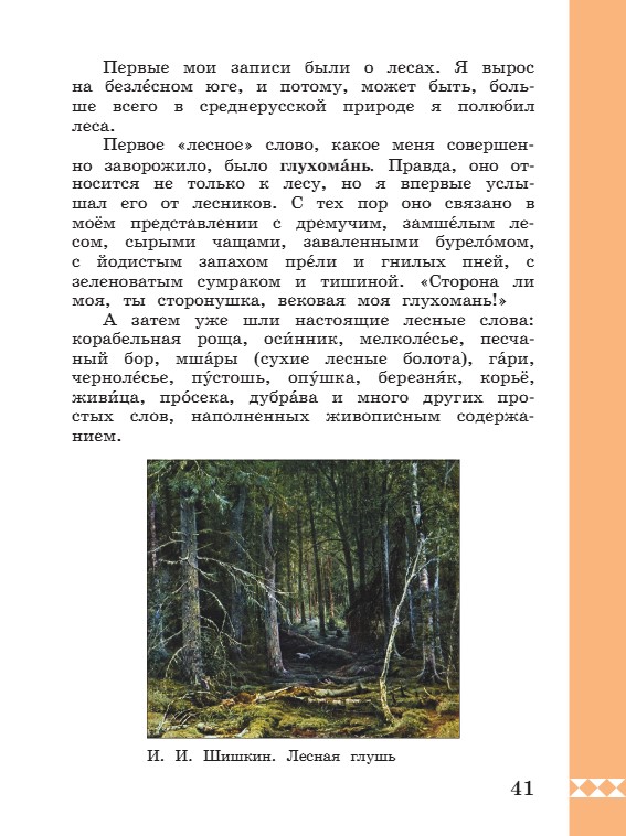 Учебник по русскому языку 3 класс. Александрова, Вербицкая. Страница 41. 2023 год. Учебник по русскому языку 3 класс. Александрова, страница 41, 2023 год.