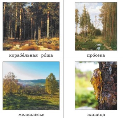 Учебник по русскому языку 3 класс. Александрова, Вербицкая. Страница 42. Номер 1. 2023 год. Учебник по русскому языку 3 класс. Александрова, страница 42, номер 1, 2023 год.