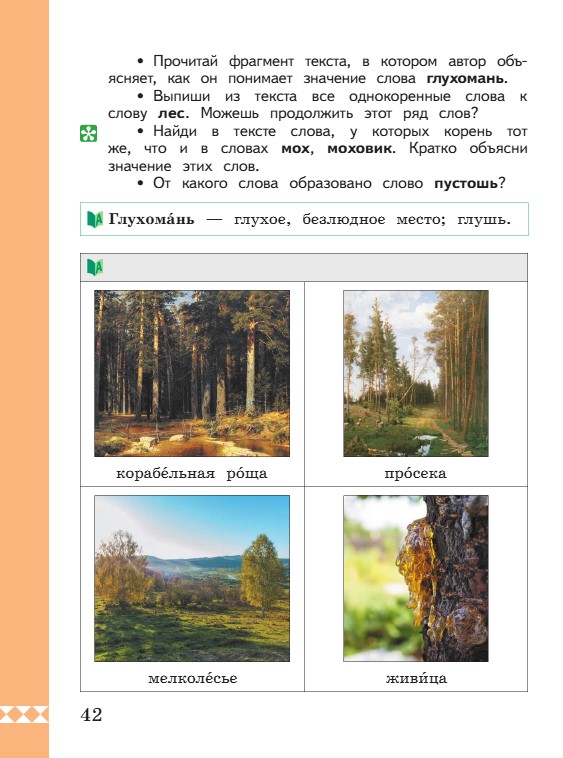 Учебник по русскому языку 3 класс. Александрова, Вербицкая. Страница 42. 2023 год. Учебник по русскому языку 3 класс. Александрова, страница 42, 2023 год.