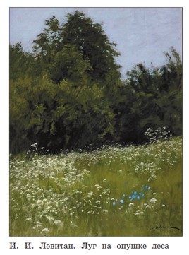Учебник по русскому языку 3 класс. Александрова, Вербицкая. Страница 45. Номер 5. 2023 год. Учебник по русскому языку 3 класс. Александрова, страница 45, номер 5, 2023 год.