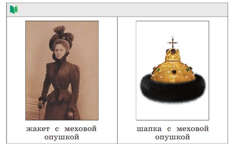 Учебник по русскому языку 3 класс. Александрова, Вербицкая. Страница 46. Номер 5. 2023 год. Учебник по русскому языку 3 класс. Александрова, страница 46, номер 5, 2023 год.