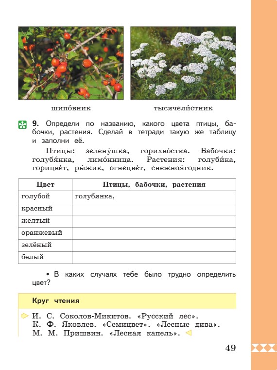 Учебник по русскому языку 3 класс. Александрова, Вербицкая. Страница 49. 2023 год. Учебник по русскому языку 3 класс. Александрова, страница 49, 2023 год.