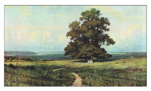 Учебник по русскому языку 3 класс. Александрова, Вербицкая. Страница 84. Номер 11. 2023 год. Учебник по русскому языку 3 класс. Александрова, страница 84, номер 11, 2023 год.
