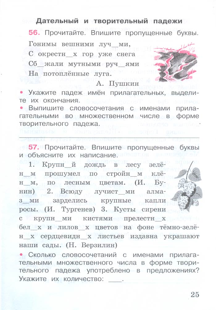 Русский язык 4 класс - Русский язык 4 класс. Рабочая тетрадь 2 часть. Страница 25. Канакина. 2024 год. Русский язык 4 класс - Русский язык 4 класс. Рабочая тетрадь 2 часть. Страница 25. Канакина. 2024 год.