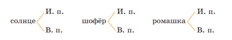 Русский язык 4 класс - учебник Канакина, Горецкий 1 часть. Страница 84. Номер 147. Год 2025