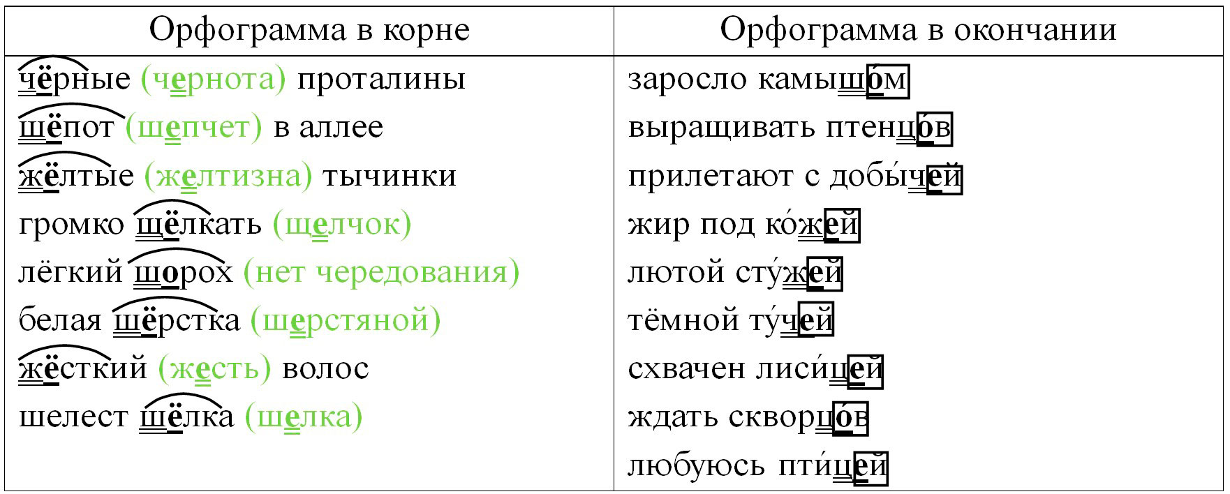 Русский язык 5 класс. Учебник 2 часть, Ладыженская. Номер 542 Русский язык 5 класс. Учебник 2 часть, Ладыженская. Номер 542
