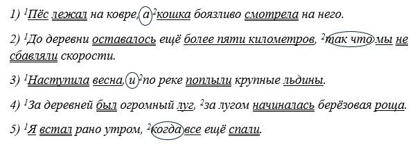 Русский язык 5 класс. Учебник 2 часть, Рыбченкова. Номер 105