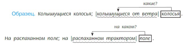 Русский язык 7 класс 1 часть учебник Баранов, Ладыженская. Год 2023-2025, задание 179