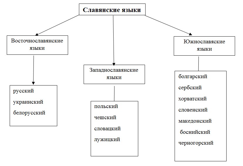Русский язык 7 класс 1 часть учебник Баранов, Ладыженская. Год 2023-2025, задание 1
