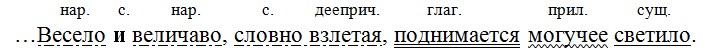 Русский язык 7 класс 1 часть учебник Баранов, Ладыженская. Год 2023-2026, задание 284