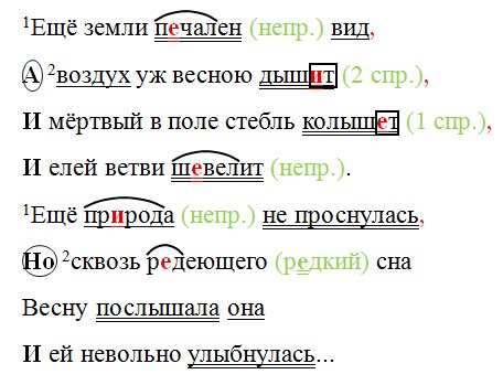 Русский язык 7 класс 2 часть учебник Баранов, Ладыженская. Год 2023-2025, задание 446