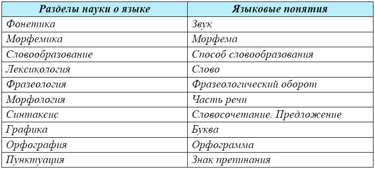 Учебник по русскому языку 8 класс. Авторы: Бархударов, Крючков. 2024-2025 год.