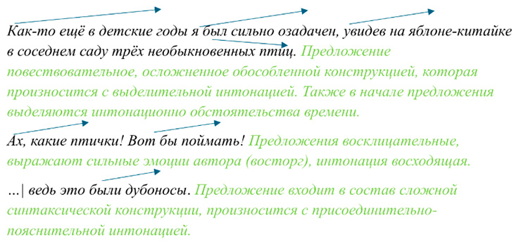 Учебник по русскому языку 8 класс. Авторы: Бархударов, Крючков. 2024-2025 год.