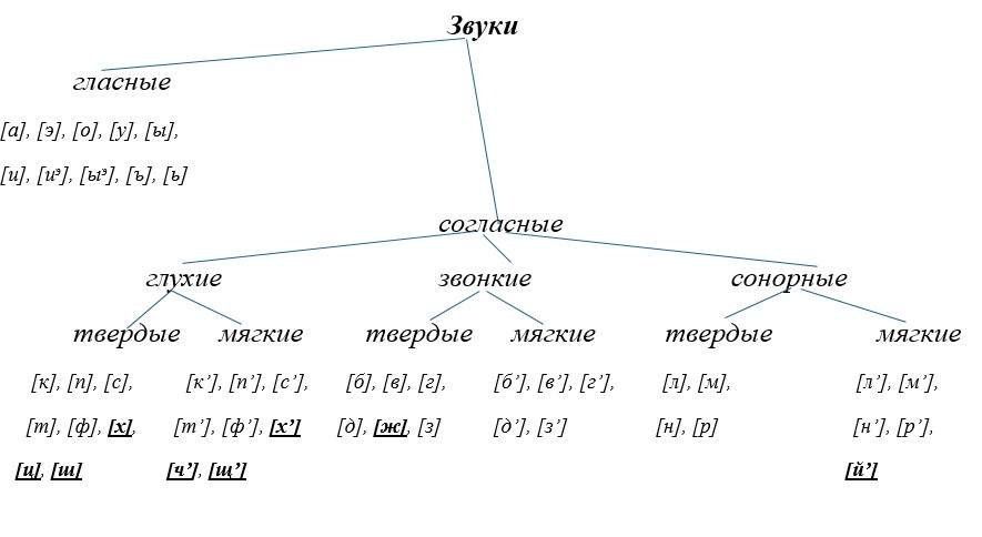 Учебник по русскому языку 8 класс. Авторы: Бархударов, Крючков. 2024-2025 год.
